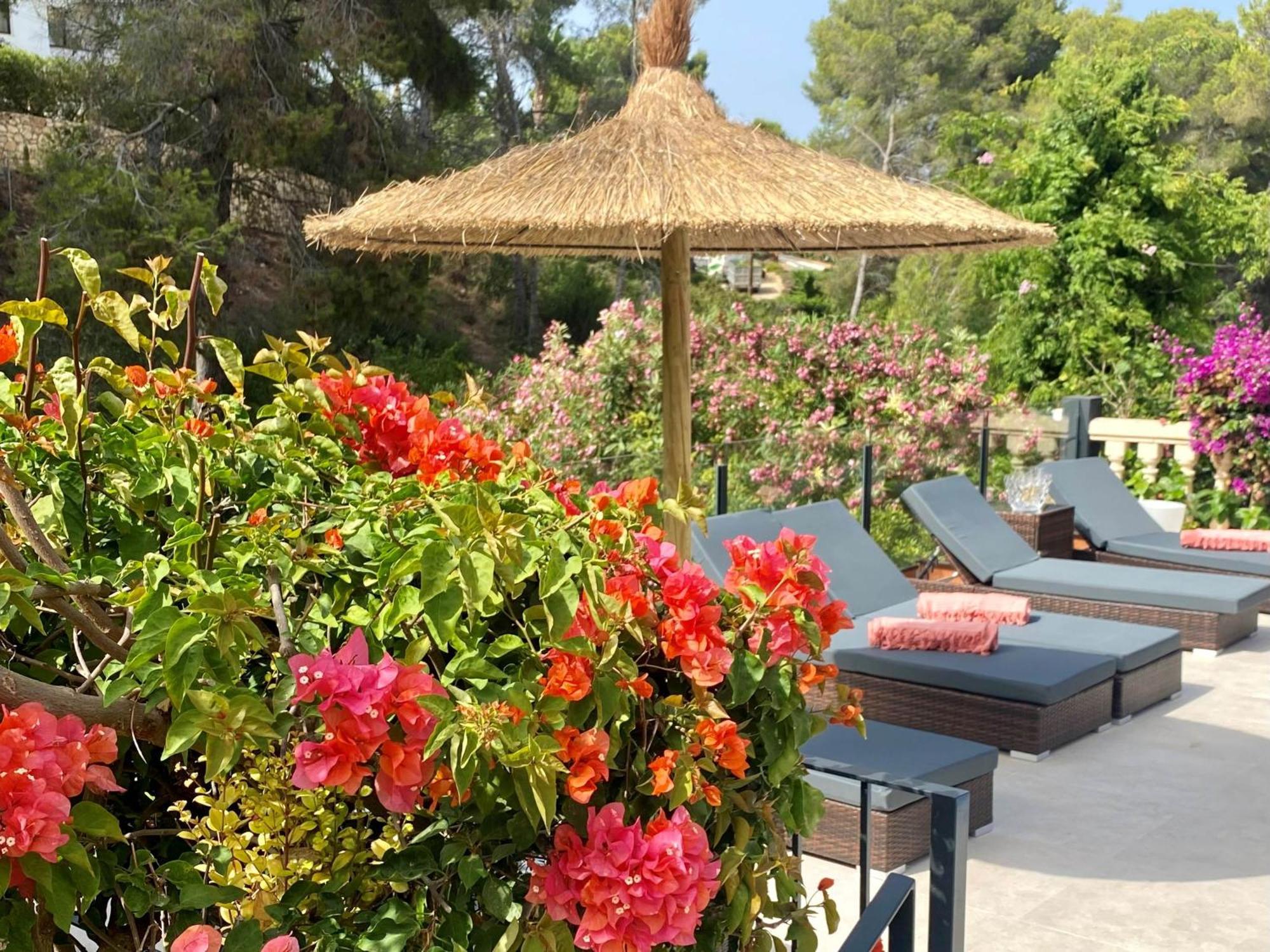 Palmera Γιαβέα Εξωτερικό φωτογραφία